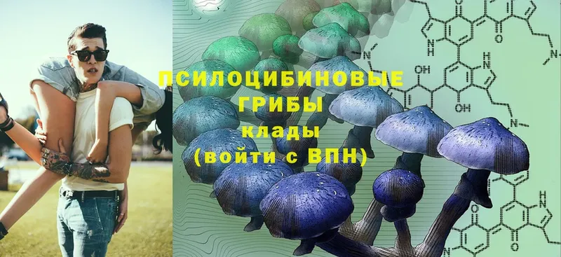 купить  сайты  Новая Ляля  Галлюциногенные грибы MAGIC MUSHROOMS 